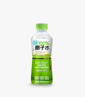 100%椰子水500ml